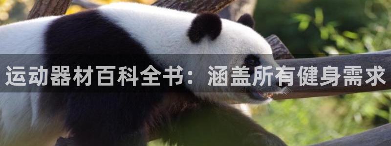 意昂3娱乐首页官网下载:运动器材百科全书:涵盖所有健身需求