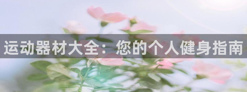 意昂3集团:运动器材大全:您的个人健身指南